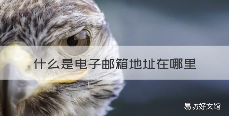 邮箱地址是什么怎么填,什么是电子邮箱地址在哪里