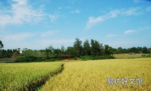 如何活下去文案 如何活下去