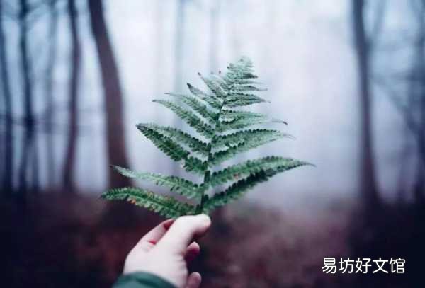 一文说透了世态炎凉含义 世态炎凉什么意思解释一下