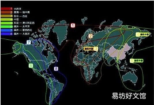 鸟成群迁徙纽约堵车 鸟为什么成群迁徙