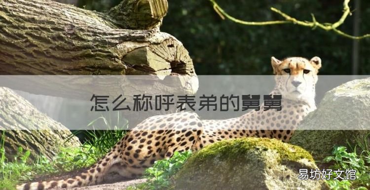 怎么称呼表弟的舅舅，表弟的舅舅怎么称呼他