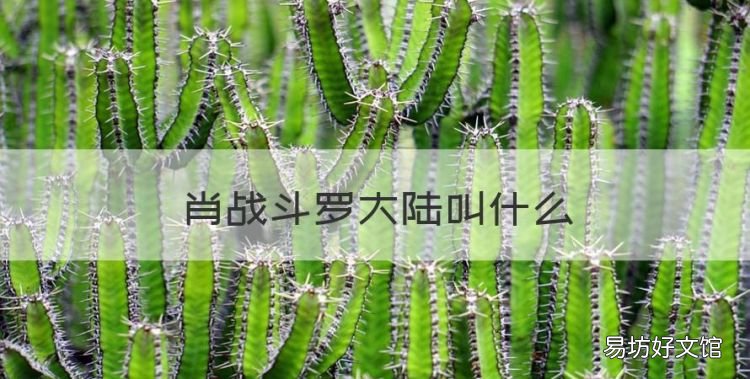 肖战斗罗大陆叫什么,迪丽热巴和肖战的新戏叫什么名字