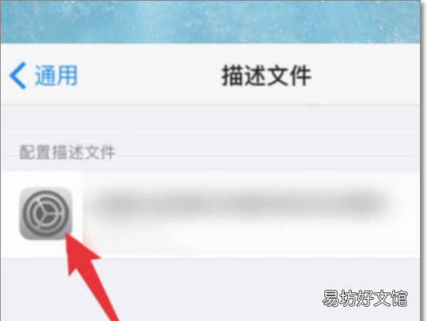怎么删除苹果描述文件,苹果描述文件怎么删除不了怎么办