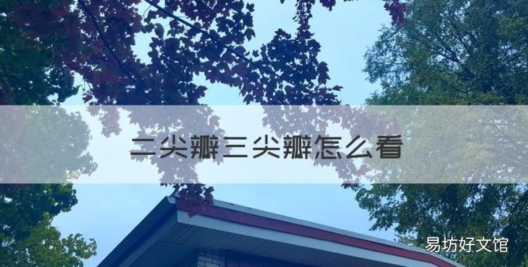 二尖瓣三尖瓣怎么看，为什么心脏三尖瓣会反流