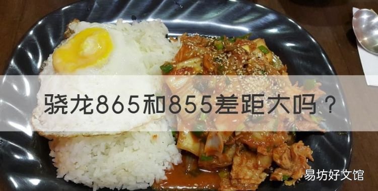 骁龙865和855差距大,高通865和高通855哪个好