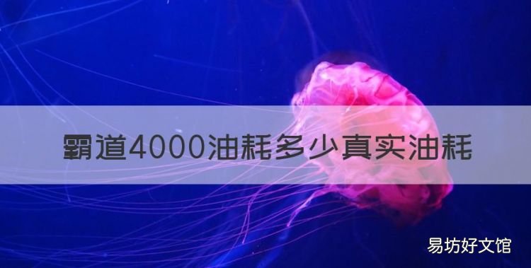 0几年的霸道值得购买吗,霸道4000油耗多少真实油耗