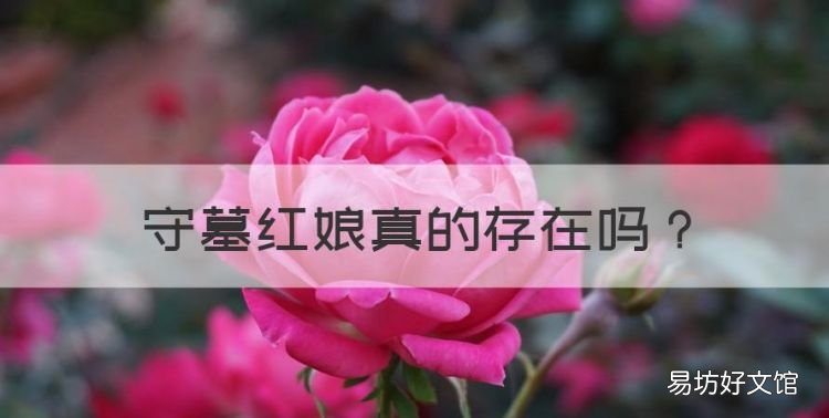 守墓红娘真的存在，世界上真的有守墓红娘吗