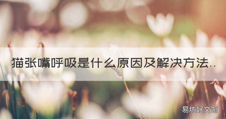 猫张嘴呼吸是什么原因，刚出生的小猫张嘴喘气怎么回事