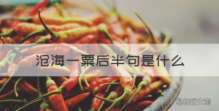 蜉蝣天地，沧海一粟后半句是什么