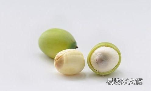 莲子吃有芯还是无芯的好