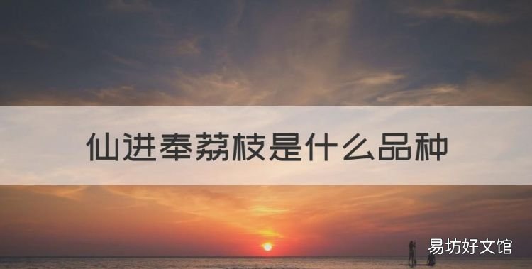仙进奉荔枝是什么品种，进奉和仙进奉的区别是什么