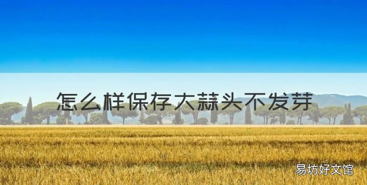 怎么样保存大蒜头不发芽,怎么保存大蒜不发芽子不干了呢