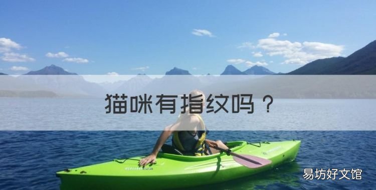 猫咪有指纹，猫为什么会缩成一团