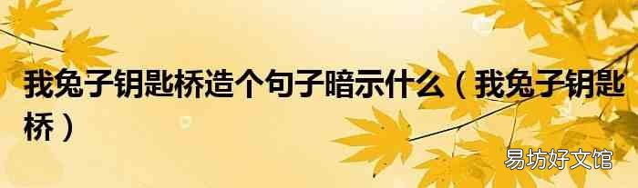 我兔子钥匙桥 我兔子钥匙桥造个句子暗示什么