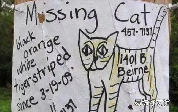 猫走丢了怎么找，猫跑丢了怎么找最有效