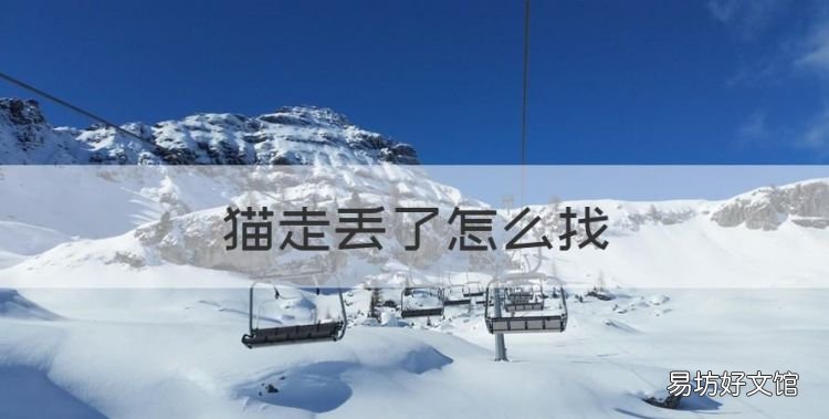 猫走丢了怎么找，猫跑丢了怎么找最有效
