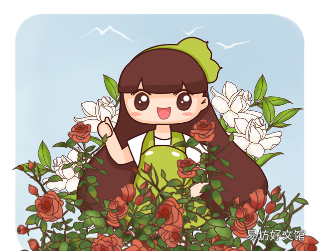 玫瑰花要怎么养比较好