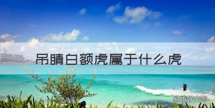 行家app下载，吊睛白额虎属于什么虎