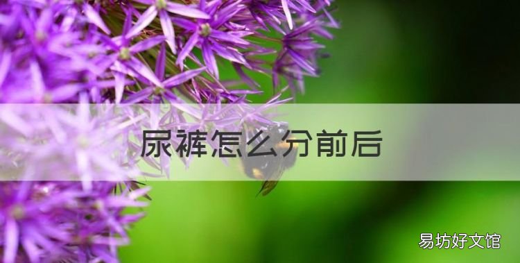 尿裤怎么分前后,纸尿裤魔术贴在前面还是后面
