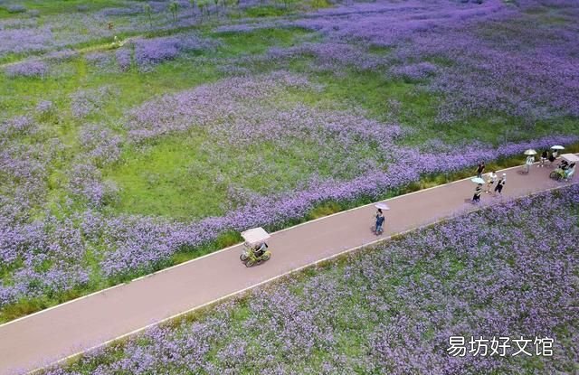 黔西南州4a级景区有多少,黔西南州有几个4a级景区