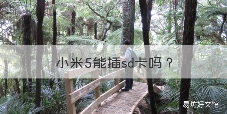 小米5能插sd卡，小米手机不支持扩展内存