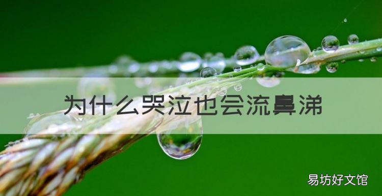 为什么哭泣也会流鼻涕,为什么一般人在哭泣时也会流鼻涕?