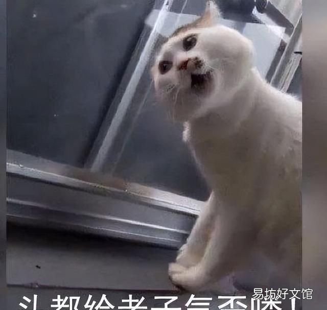 刘禹锡的一个代表作 刘禹锡最有名的几句话