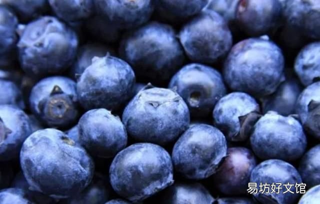 有黄体酮和雌激素的食物
