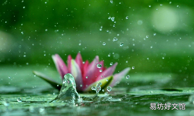 好雨知时节杜甫哪个时期,解析杜甫春夜喜雨