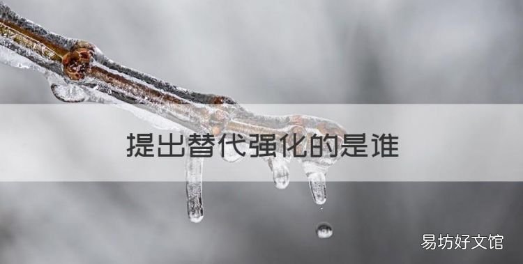提出替代强化的是谁，直接强化 替代强化和自我强化的是
