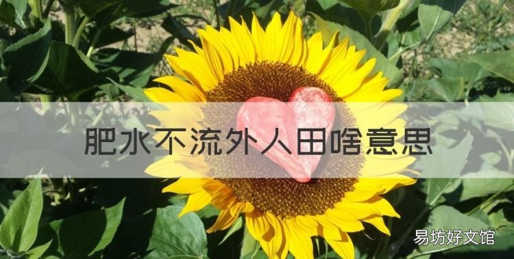 肥水不流外人田啥意思,肥水不流外人田的意思淝水指哪里