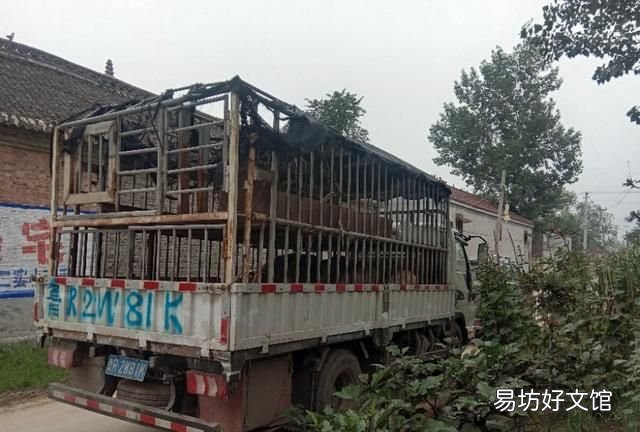 2019养猪国家补贴政策规定,国家现在允许在农村养猪吗