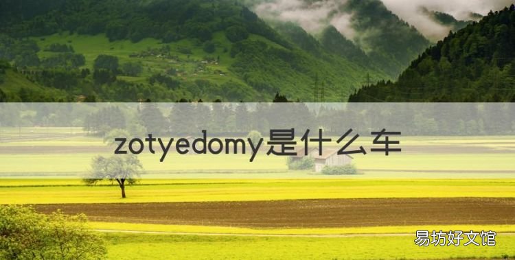 Dony是什么牌子，zotyedomy是什么车