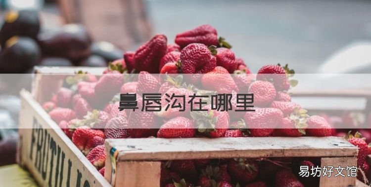 鼻唇沟在哪里,鼻基底填充用什么材料比较好
