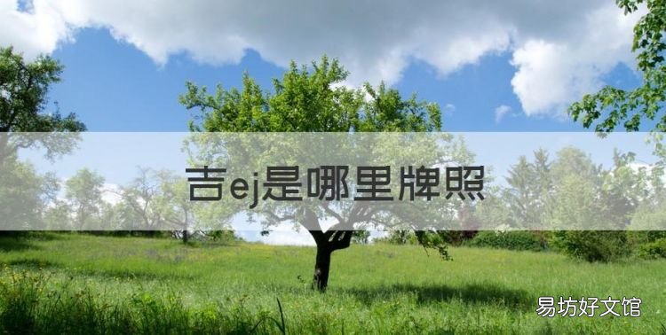 吉ej是哪里牌照，吉e是哪里的车牌子在吉林能检车么