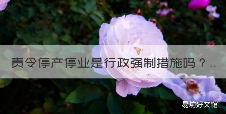 责令停产停业是行政强制措施，责令停产停业属于行政强制措施吗