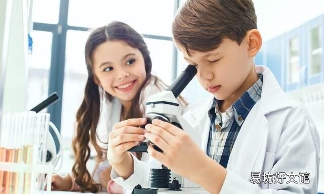 年少不知勤学早白首方悔读书迟哪首诗