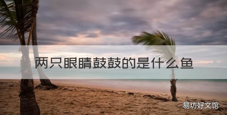 两只眼睛鼓鼓的是什么鱼,鼓眼睛的金鱼叫什么名字