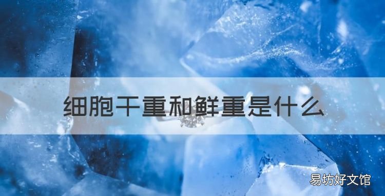 细胞干重和鲜重是什么,细胞的干重和鲜重中含量最多的元素