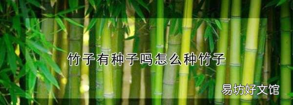 毛竹种子种植时间和方法，竹子种子怎么种、什么时候种