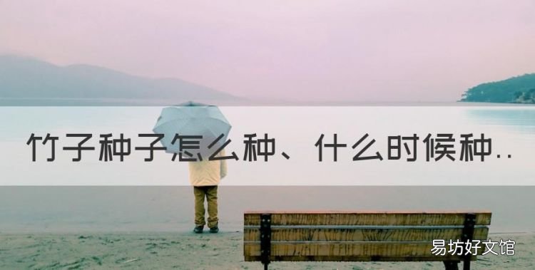 毛竹种子种植时间和方法，竹子种子怎么种、什么时候种