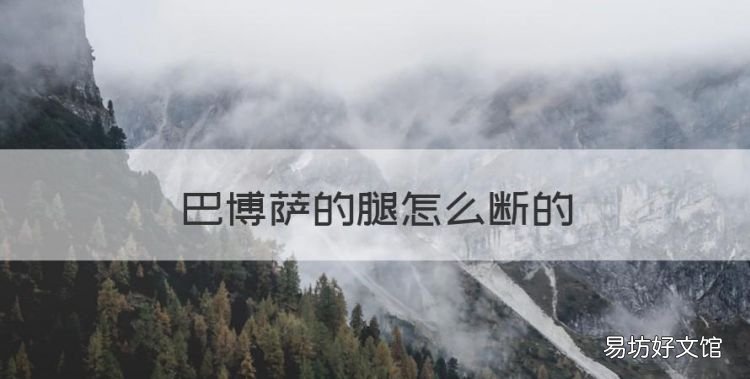 巴博萨的腿怎么断的,加勒比海盗中海盗船排名