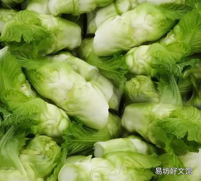 为什么被雪压过的青菜非常美味
