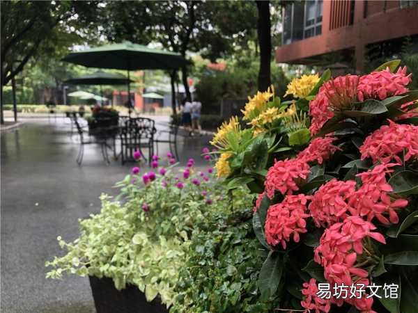 一览iPhone8p详细参数配置 苹果8p是几寸的屏幕尺寸