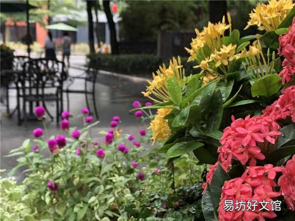 一览iPhone8p详细参数配置 苹果8p是几寸的屏幕尺寸