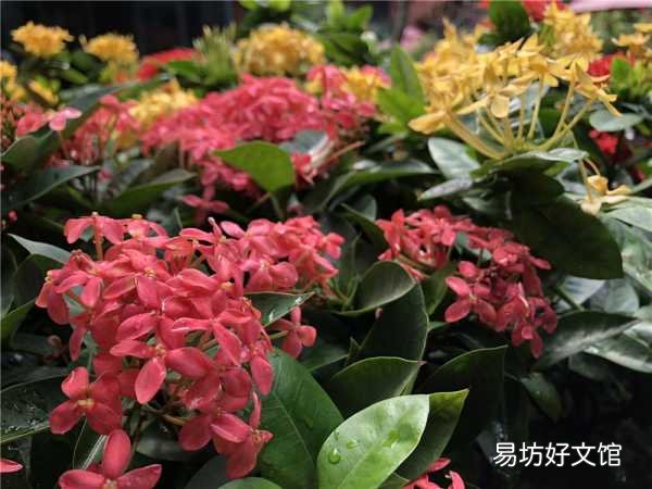 一览iPhone8p详细参数配置 苹果8p是几寸的屏幕尺寸