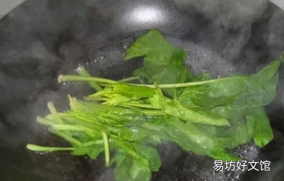 春天的菠菜能不能多吃,2022年春天菠菜价格会怎样