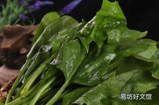 春天的菠菜能不能多吃,2022年春天菠菜价格会怎样
