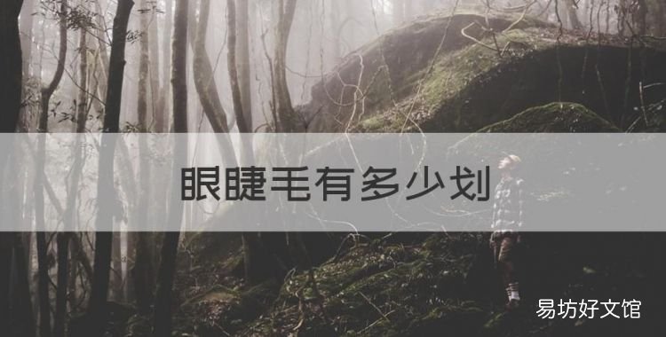 眼睫毛有多少划,眼睫毛笔画多少笔