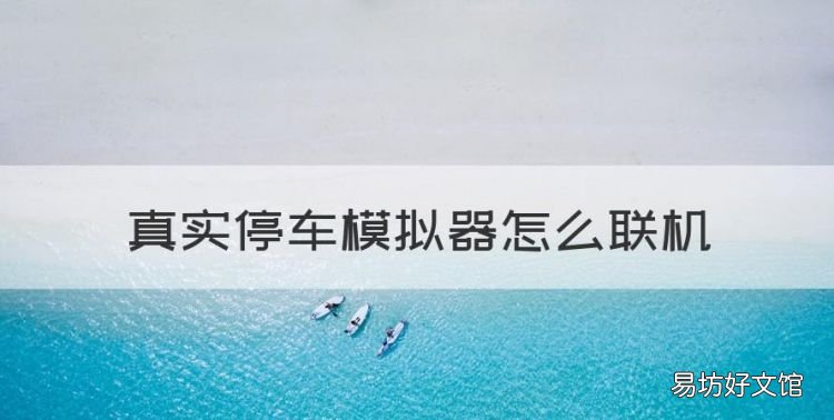 真实停车模拟器怎么联机，真实停车场模拟器无限金币版